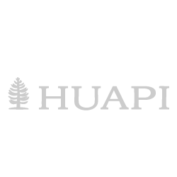 Huapi